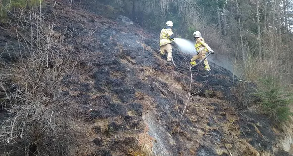 Waldbrand nahe Weißes Haus (Innergufer)