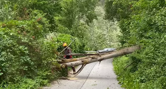 Mehrere Einsätze nach starken Sturmböen